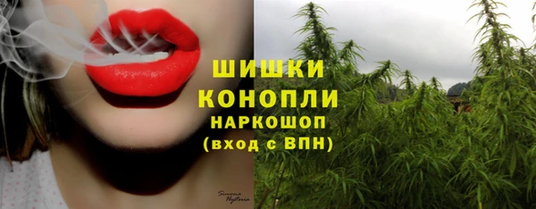 гидра Корсаков