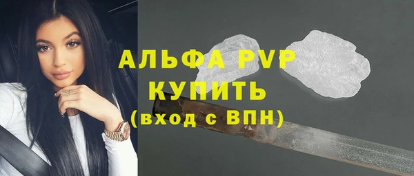 гидра Корсаков