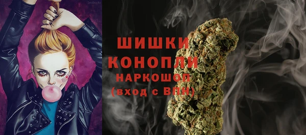 гидра Корсаков