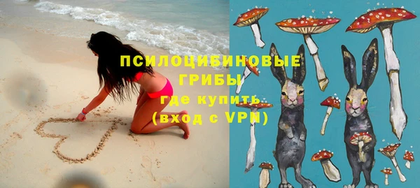 гидра Корсаков