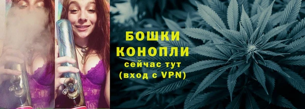 гидра Корсаков