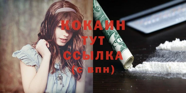 гидра Корсаков