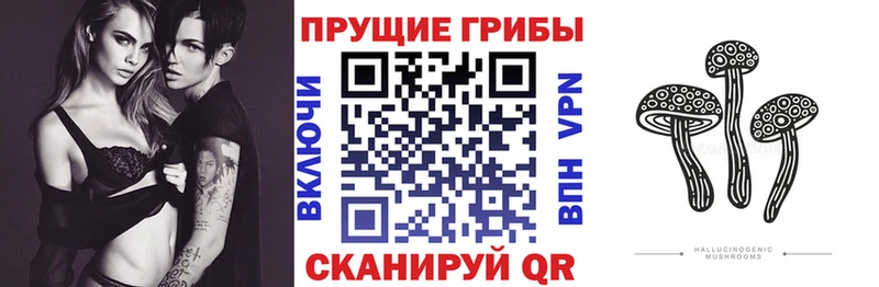 Галлюциногенные грибы Psilocybine cubensis  Купить закладки  Навашино 